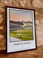 Pau rugby affiche déco