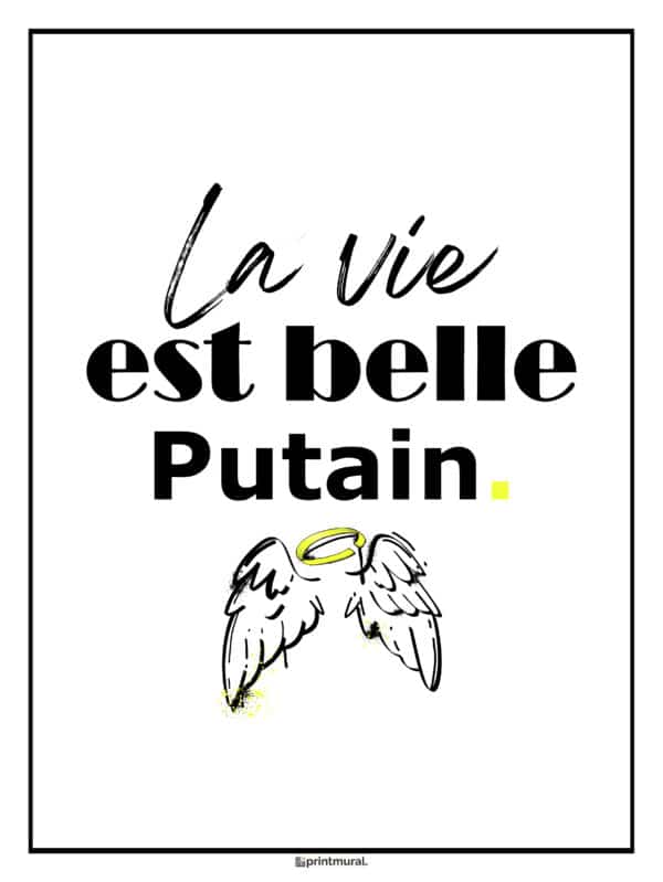 La vie est belle Putain Affiche