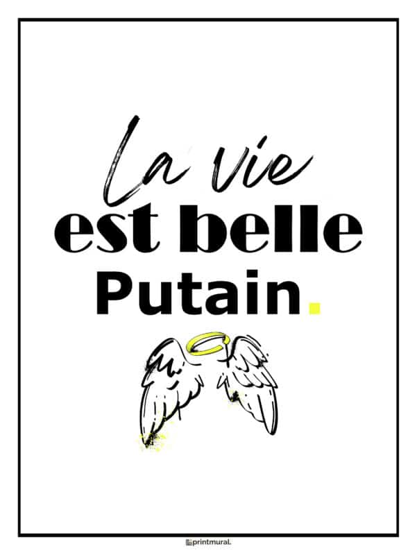 La vie est belle Putain Affiche